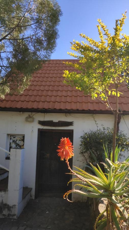 Atlantic Pearl Guest House Midrand Exterior foto